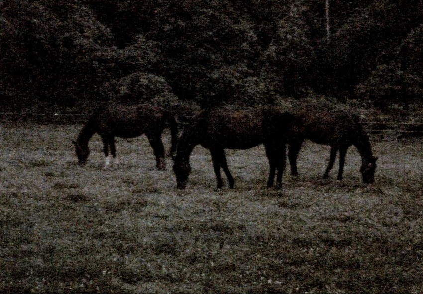 e29ed480177cf113d94748f91a843230-1761030742.jpg e29ed480177cf113d94748f91a843230-1761030742.jpg