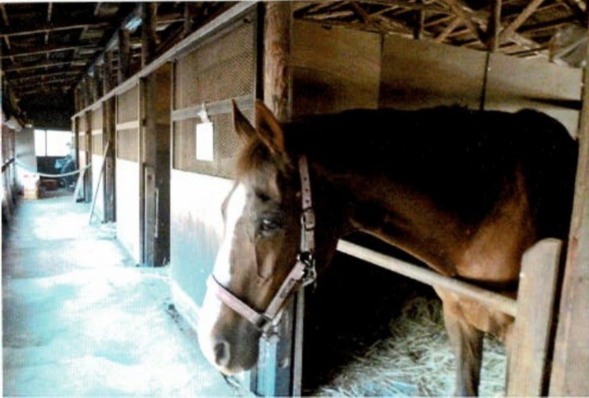 04d719a64e2adaf1e0a47b7012c5ffaf-1761030120.jpg 04d719a64e2adaf1e0a47b7012c5ffaf-1761030120.jpg