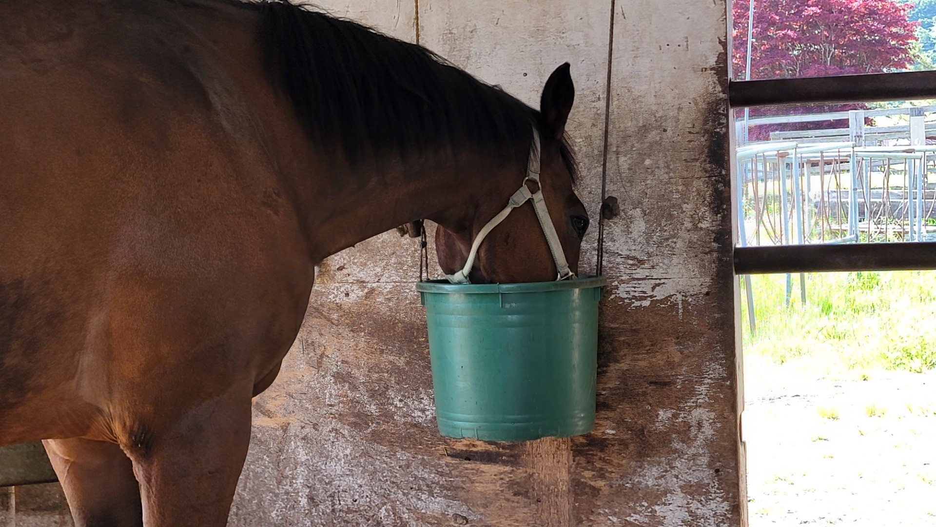 c2c37028c88bcbb7717544a34ad95f37-1760935522.jpg c2c37028c88bcbb7717544a34ad95f37-1760935522.jpg