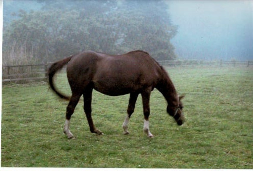 ab87be08237eb20adcd60f6ce7f569f8-1761030106.jpg ab87be08237eb20adcd60f6ce7f569f8-1761030106.jpg