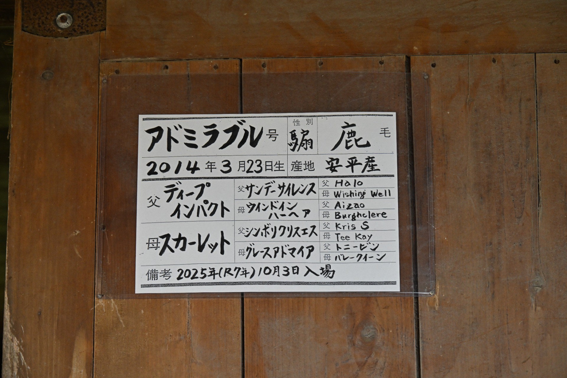 d884ded723ab9fa45d998027c2f27b86-1760456961.jpg
