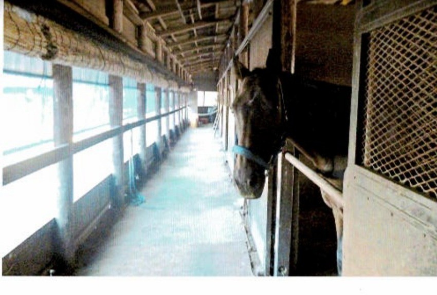 053827c85842d4a7833b1b7392032b11-1761029958.jpg 053827c85842d4a7833b1b7392032b11-1761029958.jpg