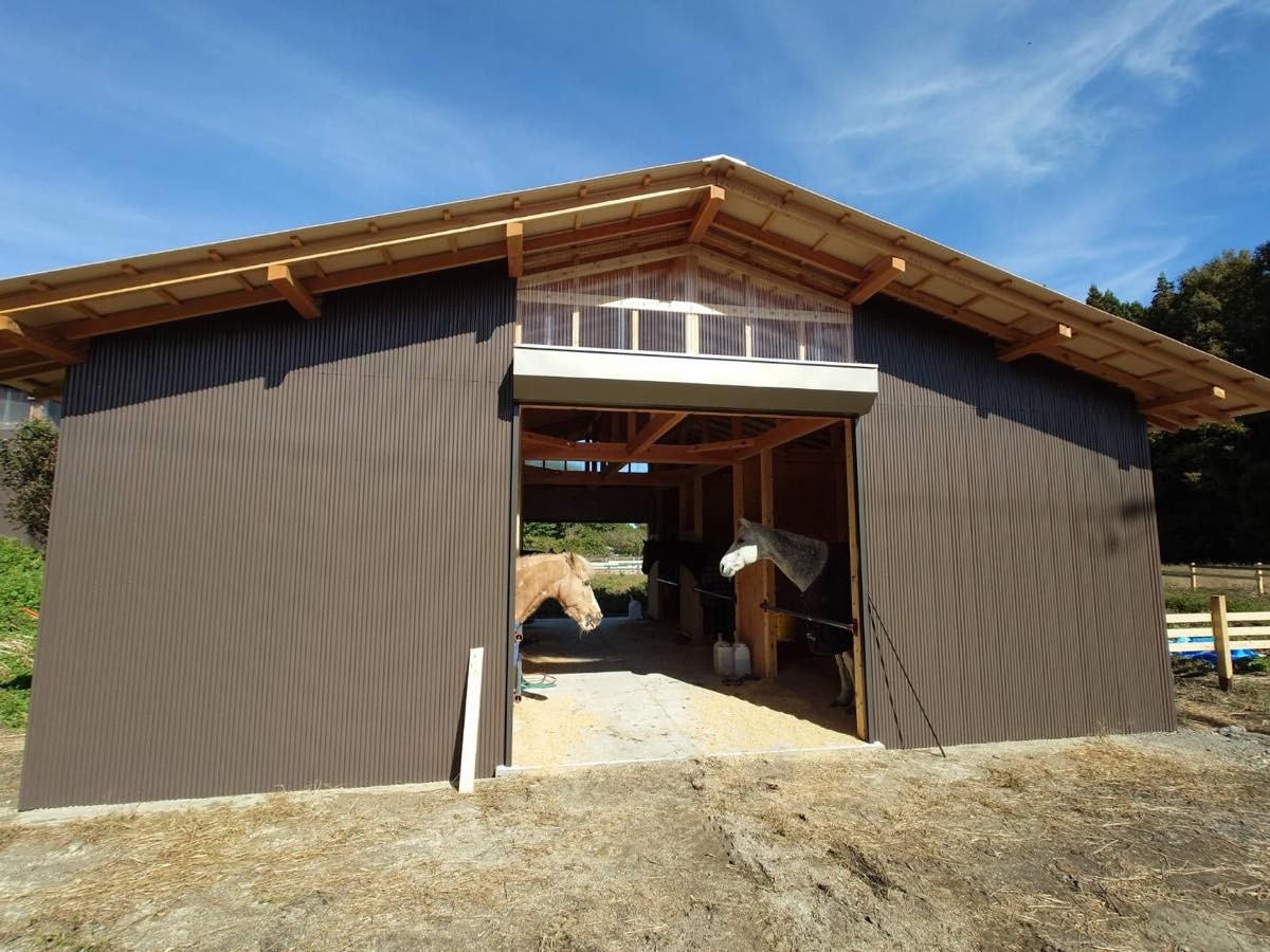 98cf3dd08948b385b506332b037ee91f-1762434768.jpg 98cf3dd08948b385b506332b037ee91f-1762434768.jpg