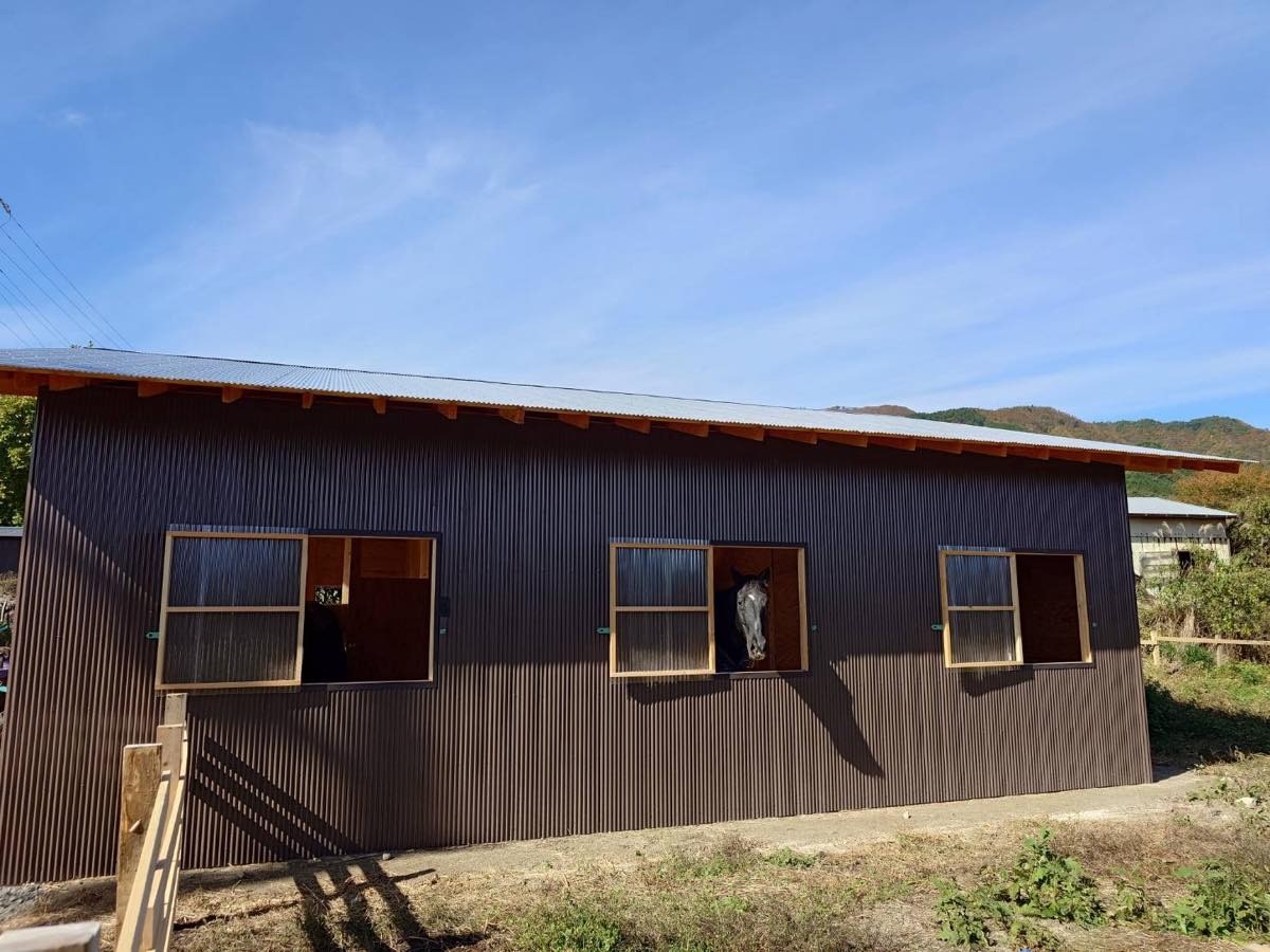 66986e127d8a7ea7a295bb0cfada7980-1762434812.jpg 66986e127d8a7ea7a295bb0cfada7980-1762434812.jpg