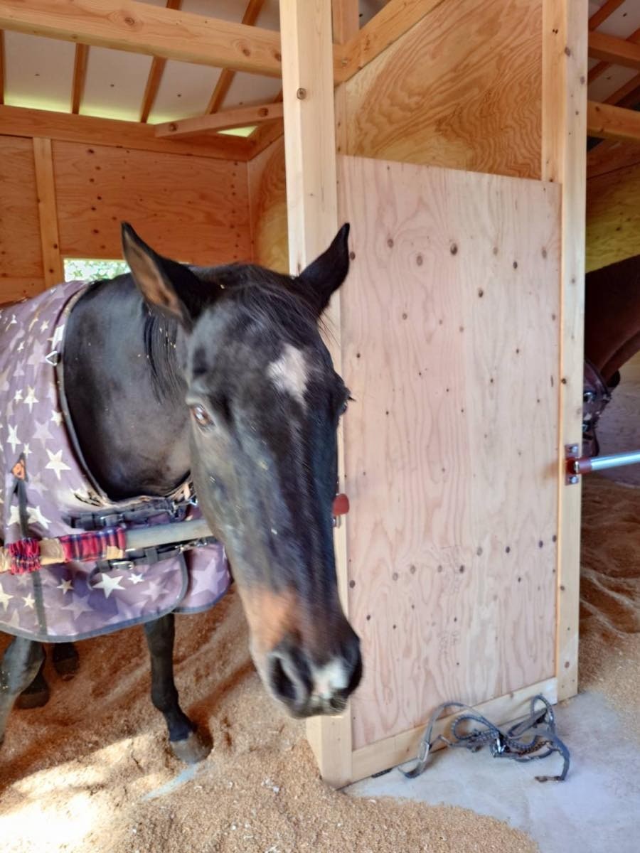 f90474023c2e72cfd115fb59c944de0c-1762437608.jpg f90474023c2e72cfd115fb59c944de0c-1762437608.jpg