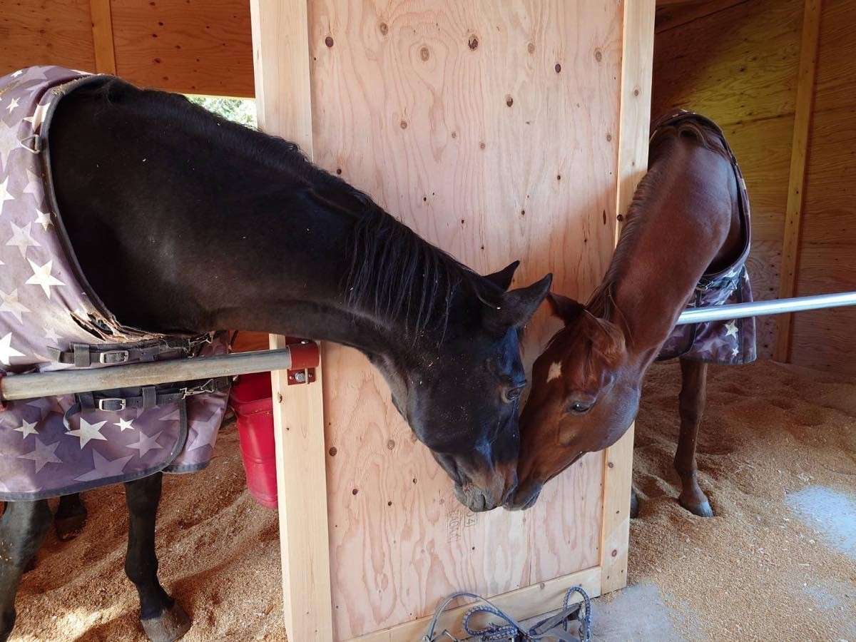 b1f7f45e2f0ac9c51665bbf359e75686-1762435183.jpg b1f7f45e2f0ac9c51665bbf359e75686-1762435183.jpg