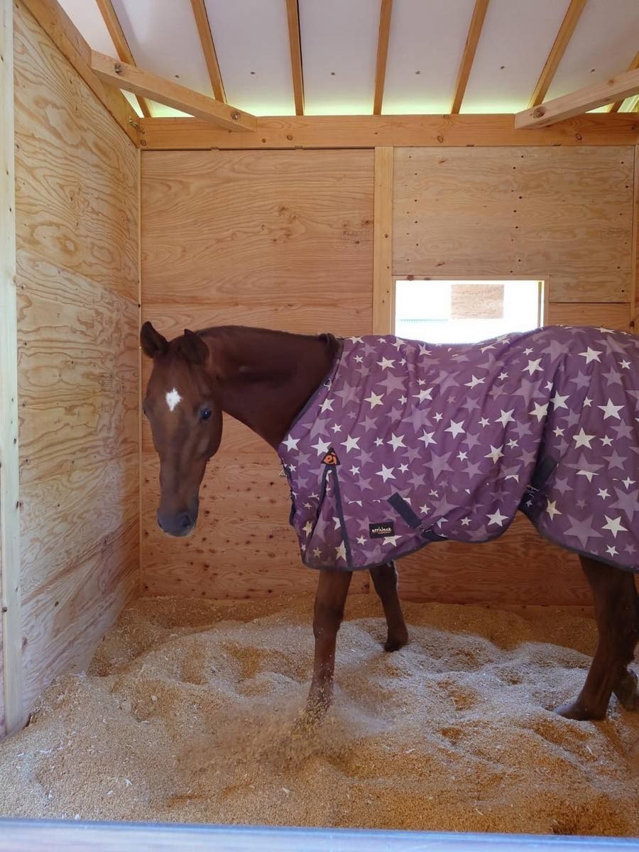 15f265950c771f18572698102c340c86-1762438823.jpg 15f265950c771f18572698102c340c86-1762438823.jpg