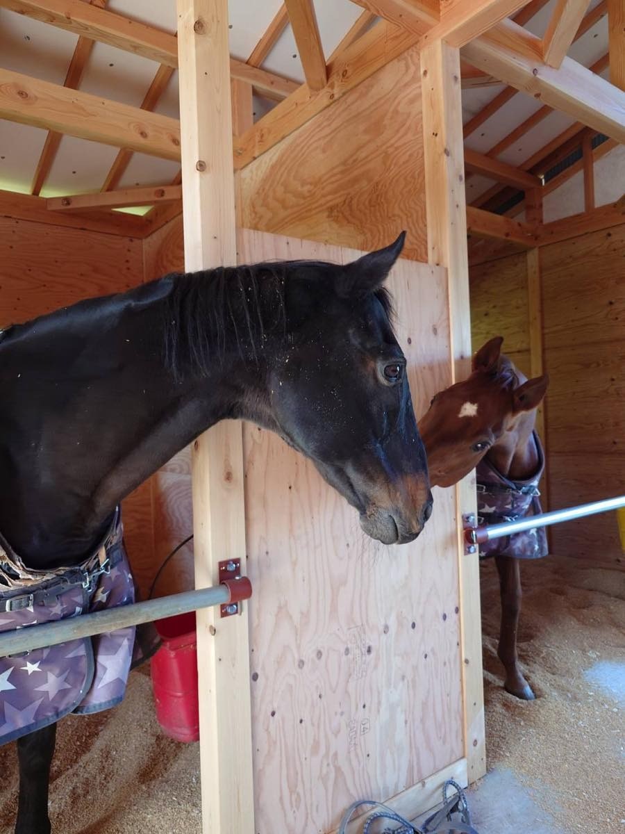 95a6744560844ba62339b3f50f891dce-1762435216.jpg 95a6744560844ba62339b3f50f891dce-1762435216.jpg