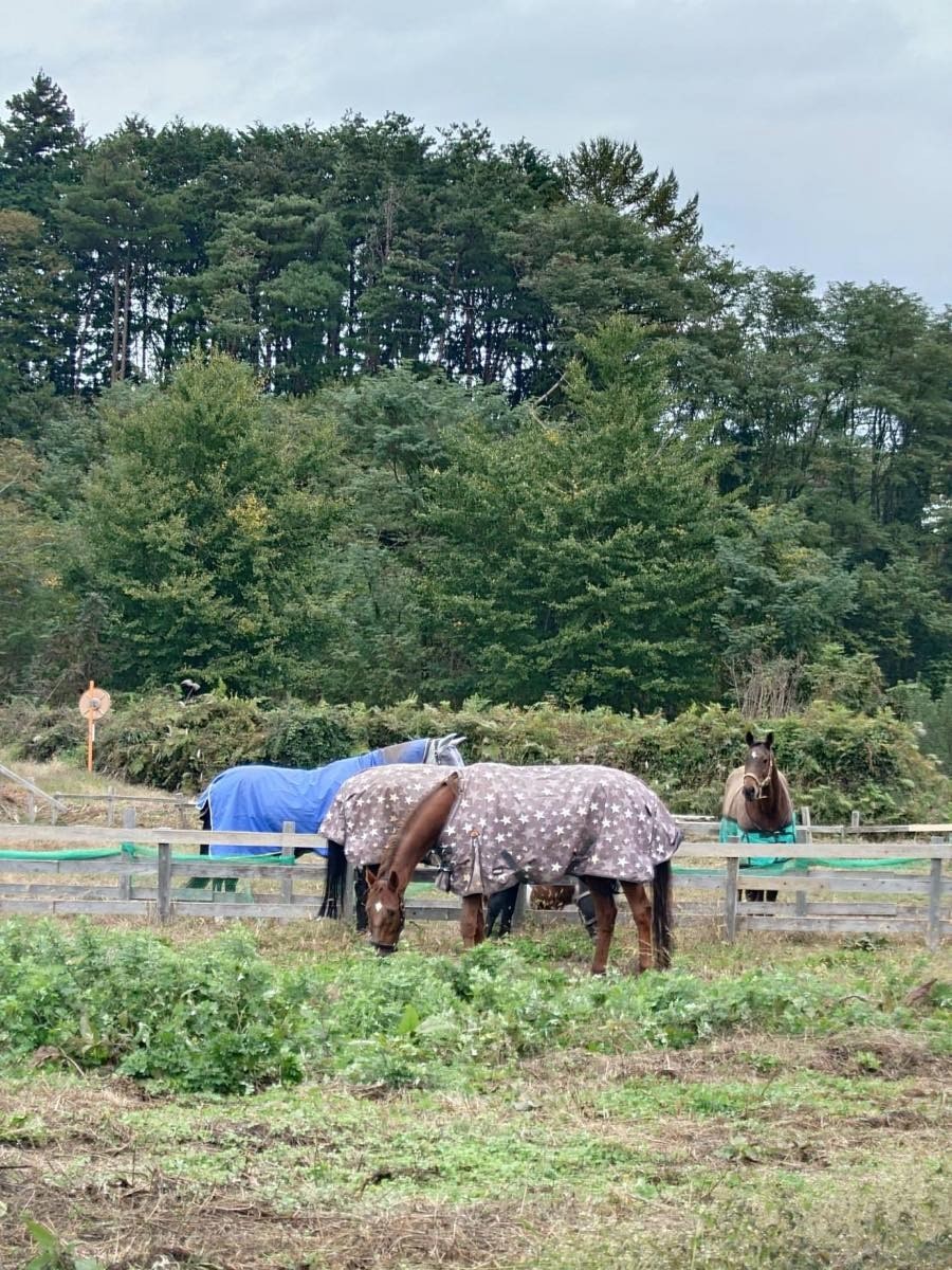 785271d7e8d11439a383e2ba6c9354df-1762438880.jpg 785271d7e8d11439a383e2ba6c9354df-1762438880.jpg