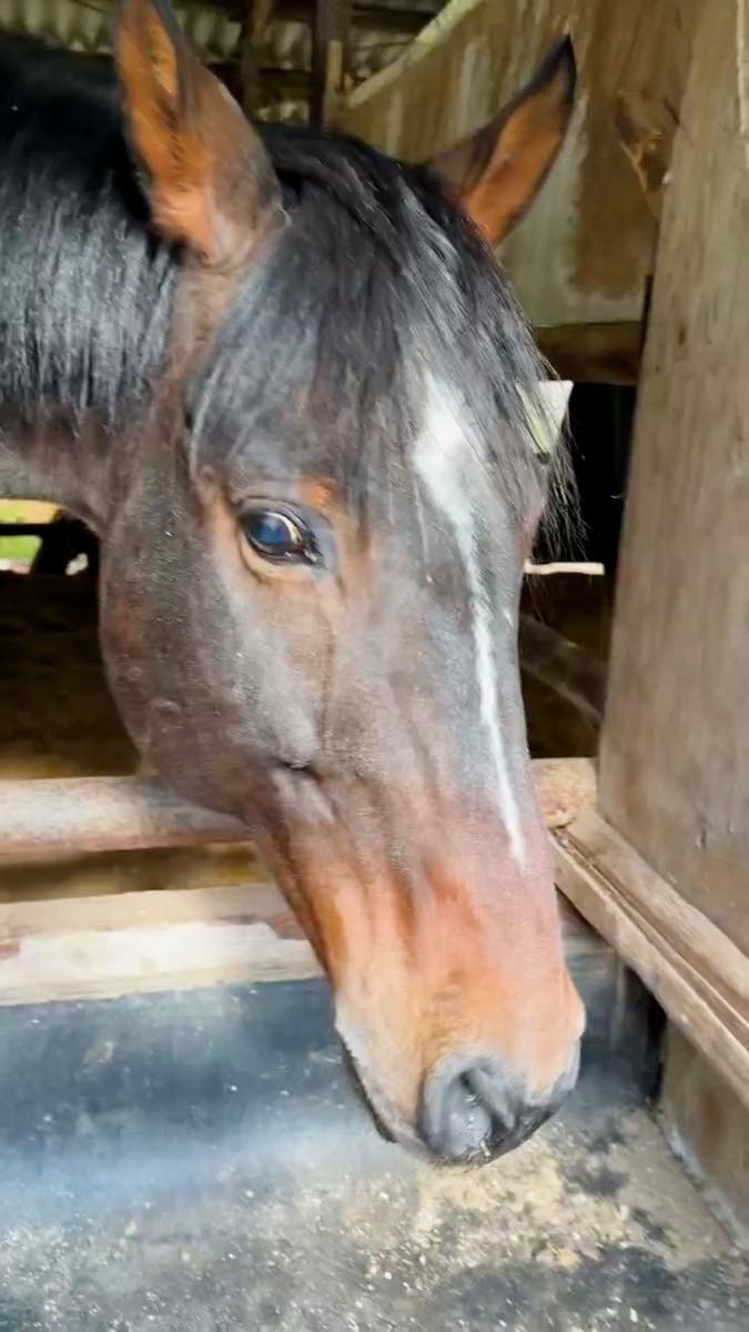 24dec6dbbffbe07e519b9267346885a0-1764414827.jpg 24dec6dbbffbe07e519b9267346885a0-1764414827.jpg