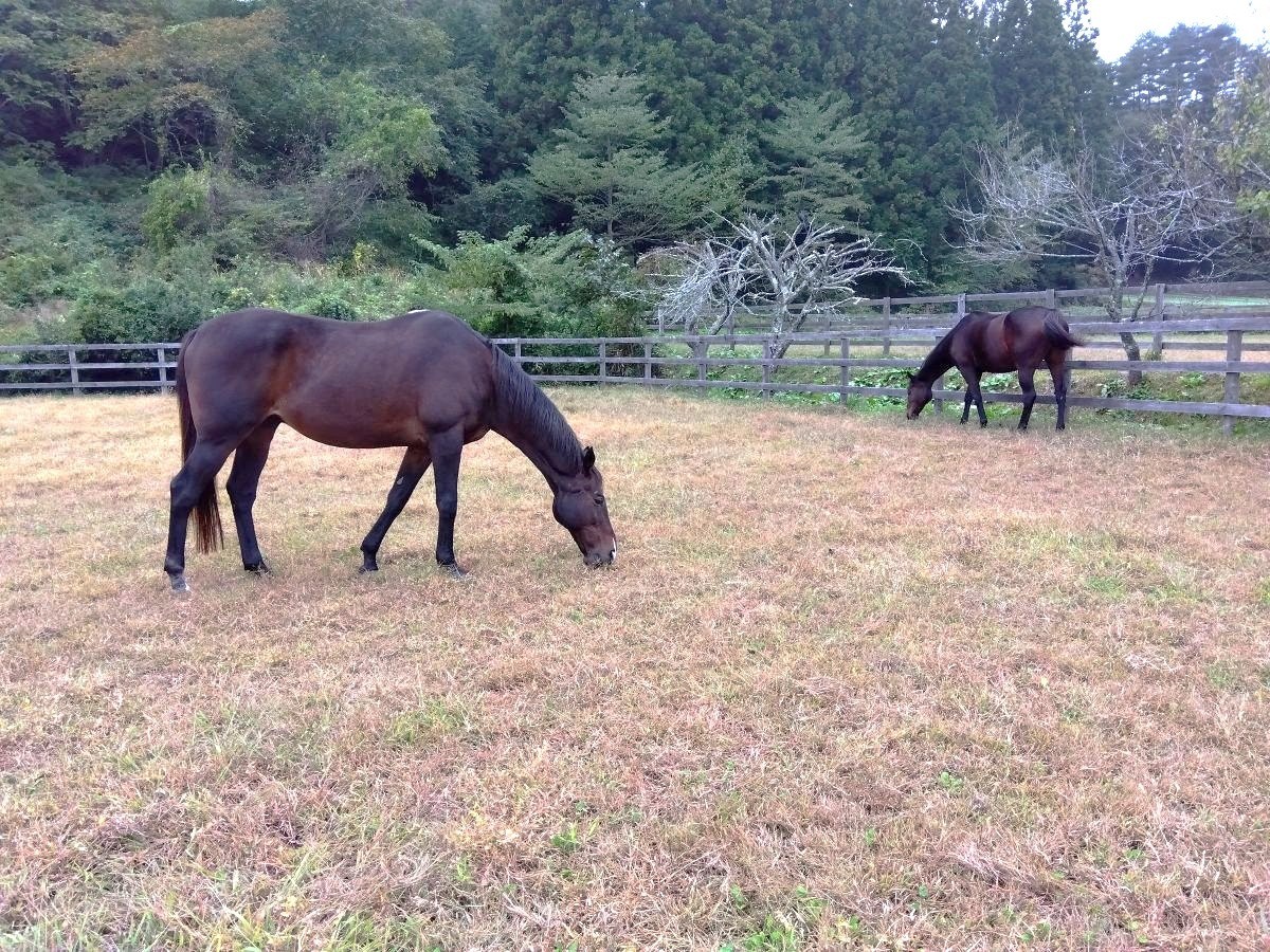 5a6e6e268731d43fc925619a0d39e197-1763519927.jpg 5a6e6e268731d43fc925619a0d39e197-1763519927.jpg