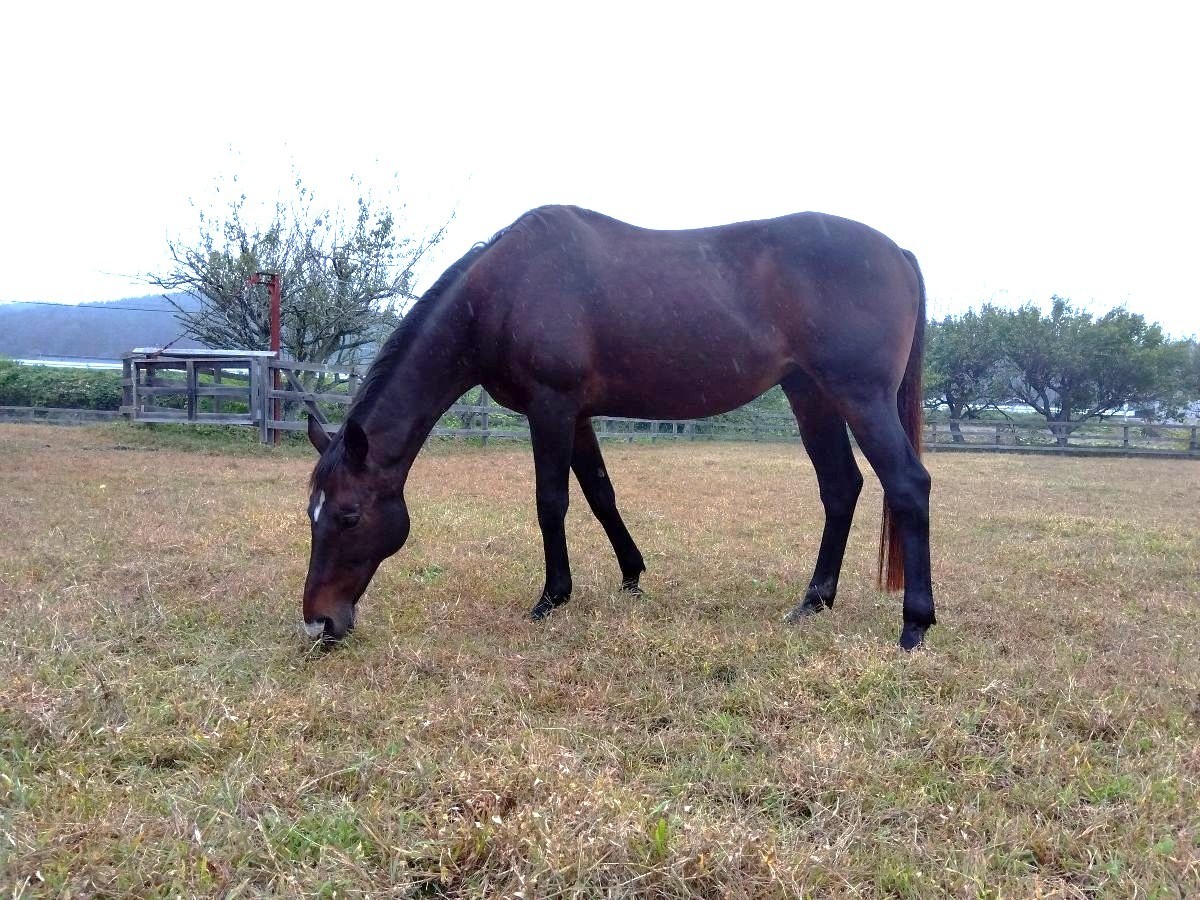 e7dc4f502a48f569b8b4c0dbe1d0c1ba-1763519971.jpg e7dc4f502a48f569b8b4c0dbe1d0c1ba-1763519971.jpg