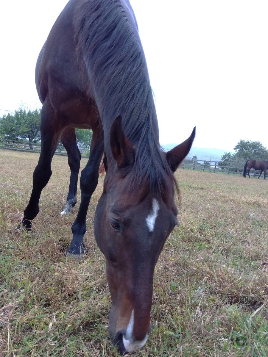 4a20233a554f2e93524ec826b992f705-1763519981.jpg 4a20233a554f2e93524ec826b992f705-1763519981.jpg