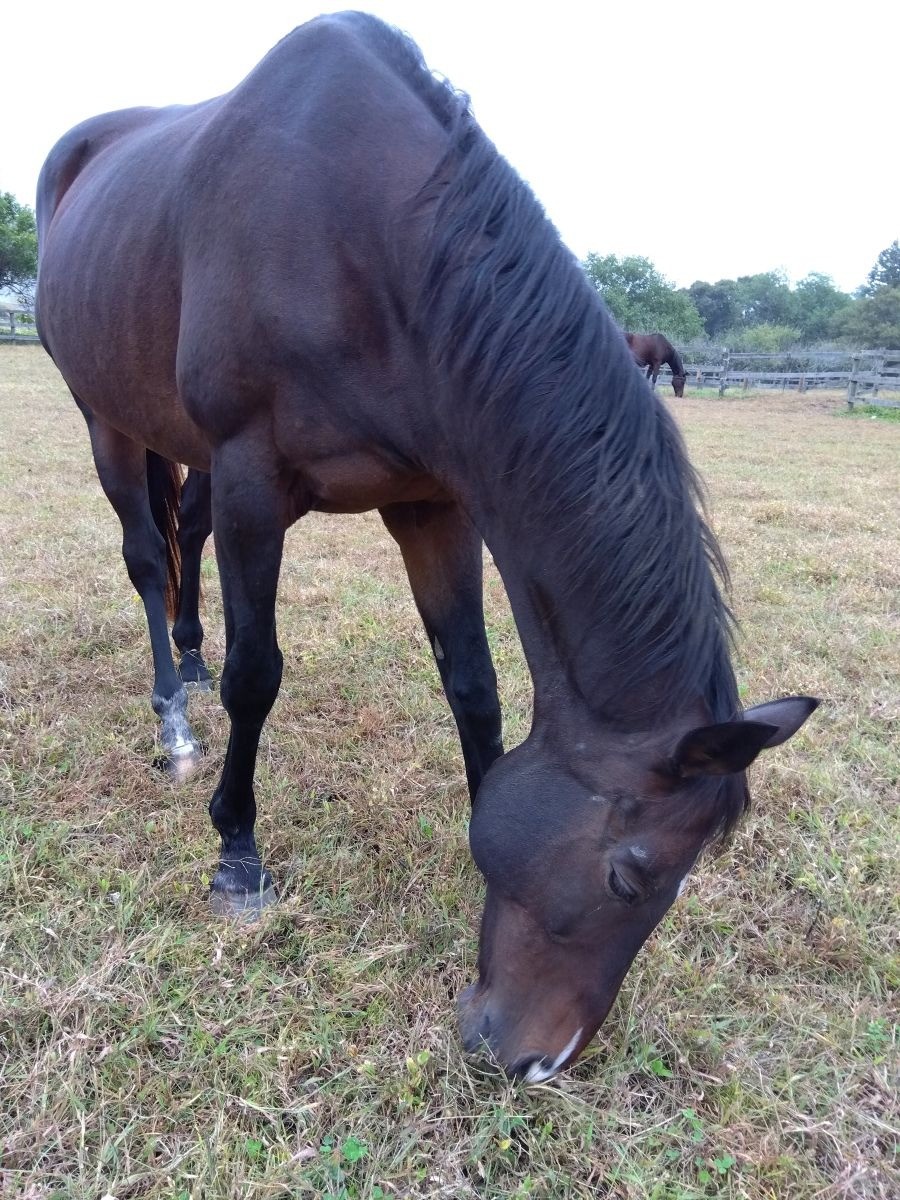 36293ac50fba033e4144da0e91df1fa4-1763520004.jpg 36293ac50fba033e4144da0e91df1fa4-1763520004.jpg