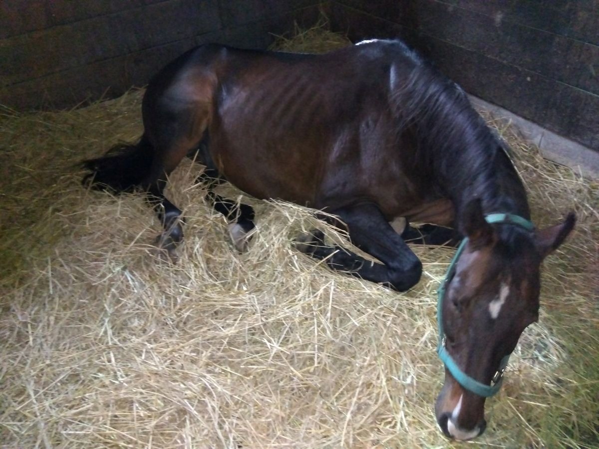 3130ebdb236876590f6489d6c1bd5b1a-1763520019.jpg 3130ebdb236876590f6489d6c1bd5b1a-1763520019.jpg