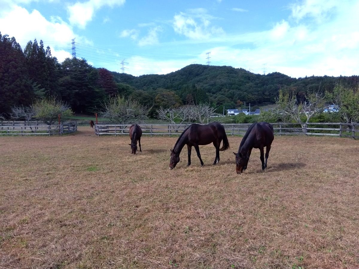 11a4d67961163e00eabd36a15837e101-1763519903.jpg 11a4d67961163e00eabd36a15837e101-1763519903.jpg