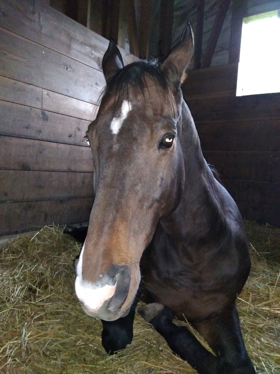 3e609b63e7b344f54d64afa4f02dde25-1763520031.jpg 3e609b63e7b344f54d64afa4f02dde25-1763520031.jpg