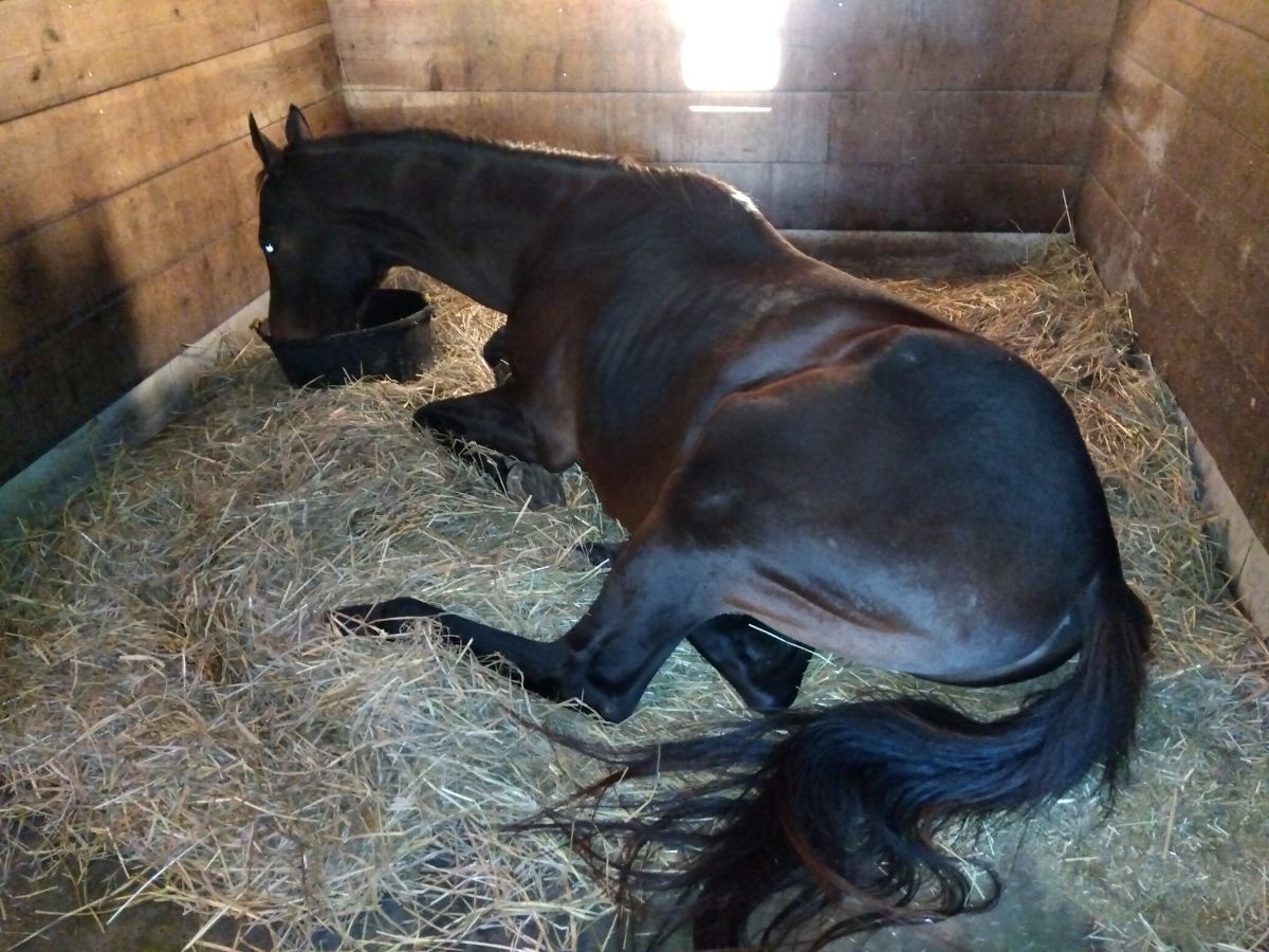 5c477f5625ca2bd8455973021ee85ff3-1763520041.jpg 5c477f5625ca2bd8455973021ee85ff3-1763520041.jpg