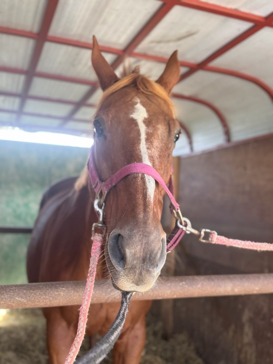 8843f566a0f4b9a7bafbe3ec042a154d-1762065733.jpg 8843f566a0f4b9a7bafbe3ec042a154d-1762065733.jpg