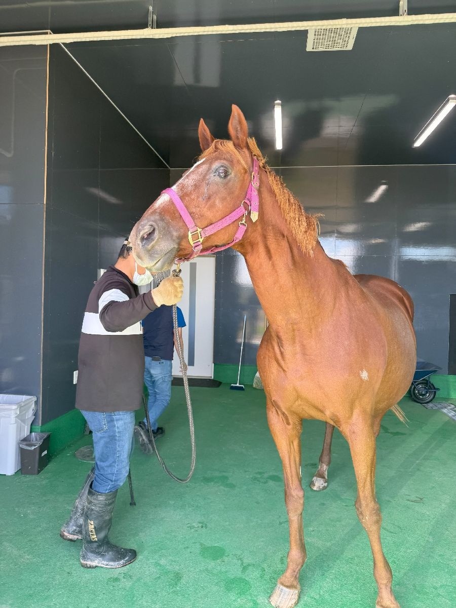 e5b40be1202267dcbb0990e81b9f0d3e-1762065737.jpg e5b40be1202267dcbb0990e81b9f0d3e-1762065737.jpg