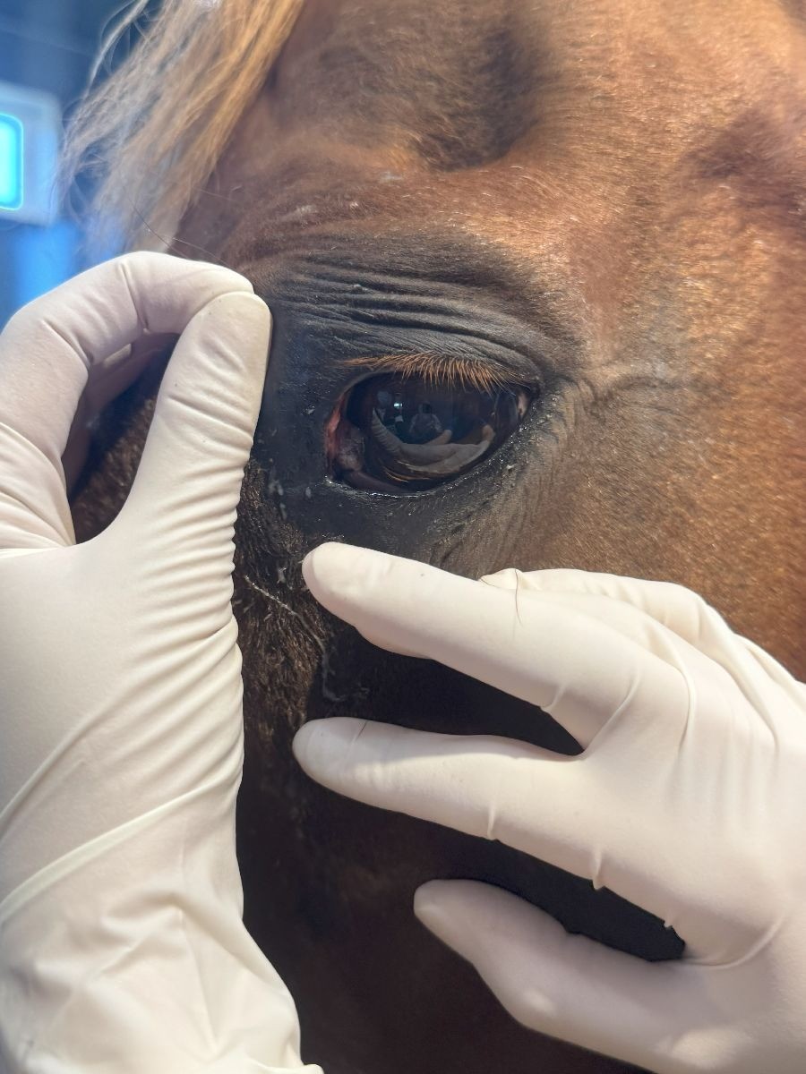 1f7f20737bfb31507c63982f1377e1e0-1762065745.jpg 1f7f20737bfb31507c63982f1377e1e0-1762065745.jpg