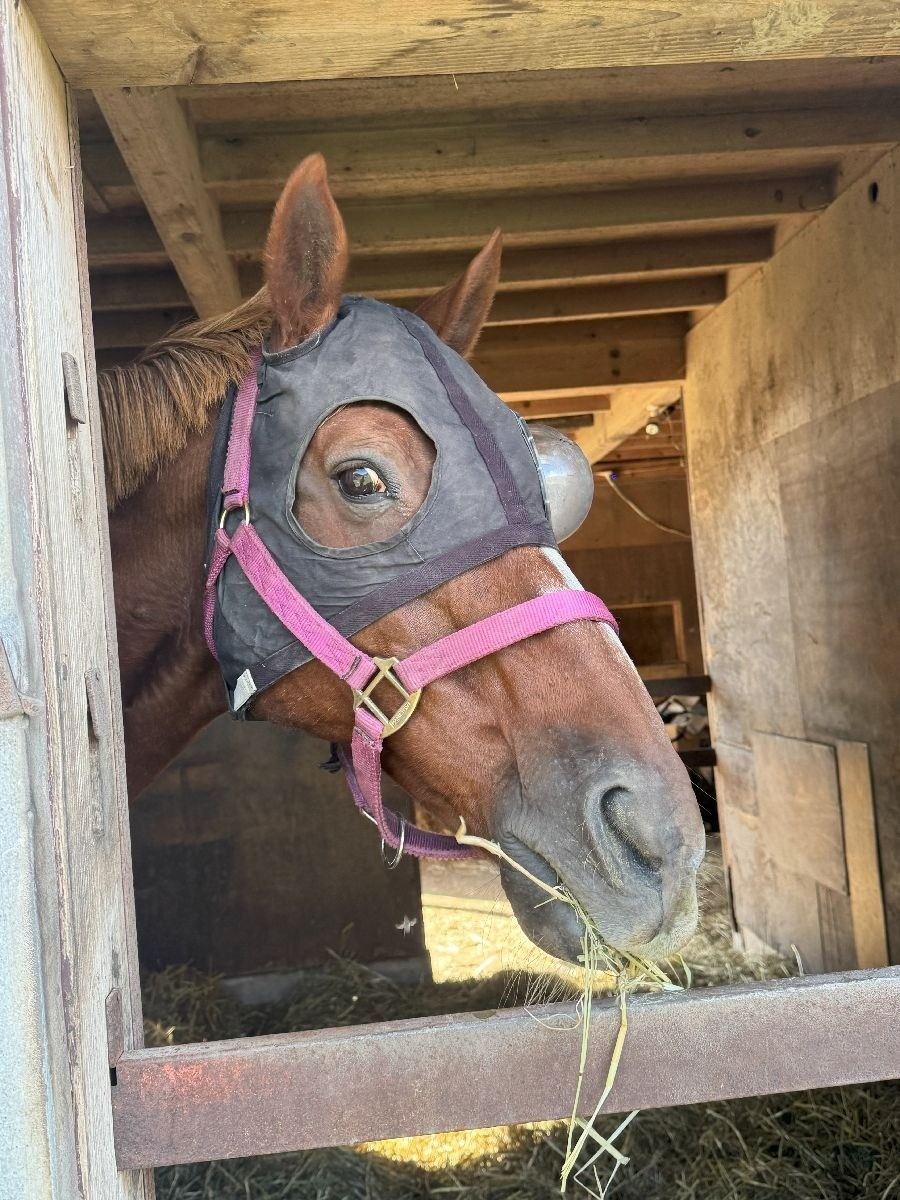 ea59505f4835ae72f4530ea9ee7d71d6-1762065749.jpg ea59505f4835ae72f4530ea9ee7d71d6-1762065749.jpg