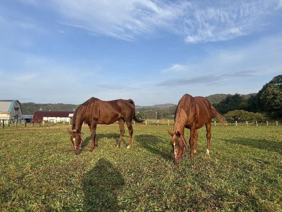 84097e716620d0d4c2f34fa1ef1a26a4-1762066208.jpg 84097e716620d0d4c2f34fa1ef1a26a4-1762066208.jpg