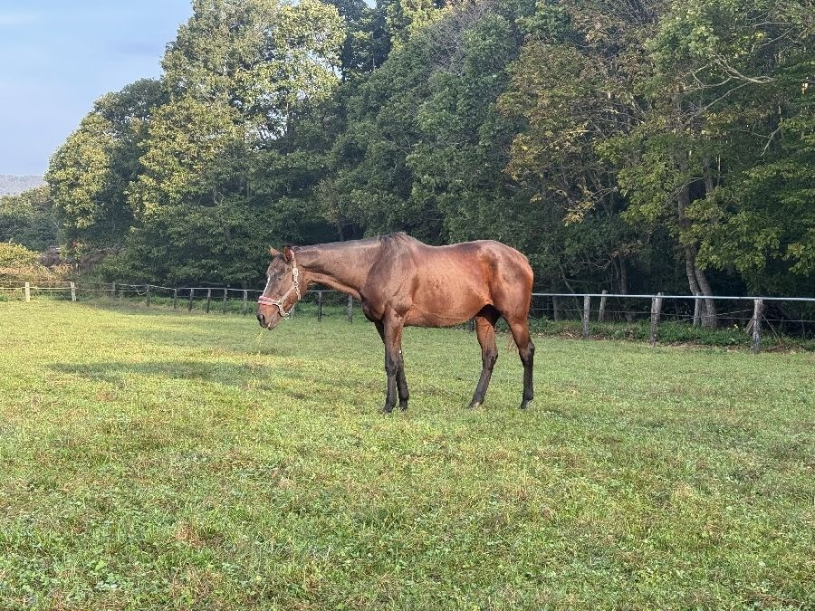 62e9fd639539018abdd448436f60ccf5-1762065258.jpg 62e9fd639539018abdd448436f60ccf5-1762065258.jpg