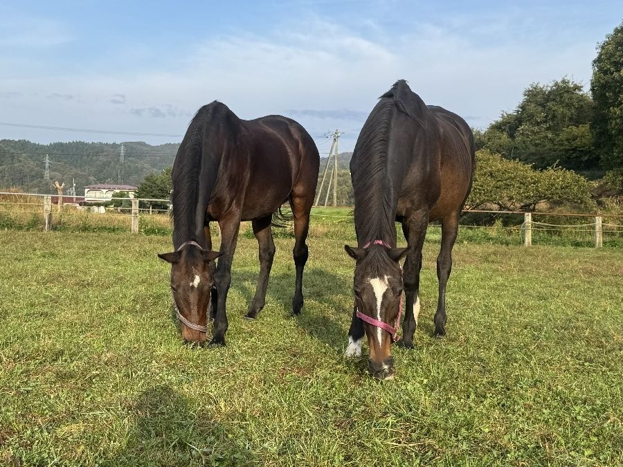 a131fc2c8908c9aeda360779503be0b0-1762066374.jpg a131fc2c8908c9aeda360779503be0b0-1762066374.jpg