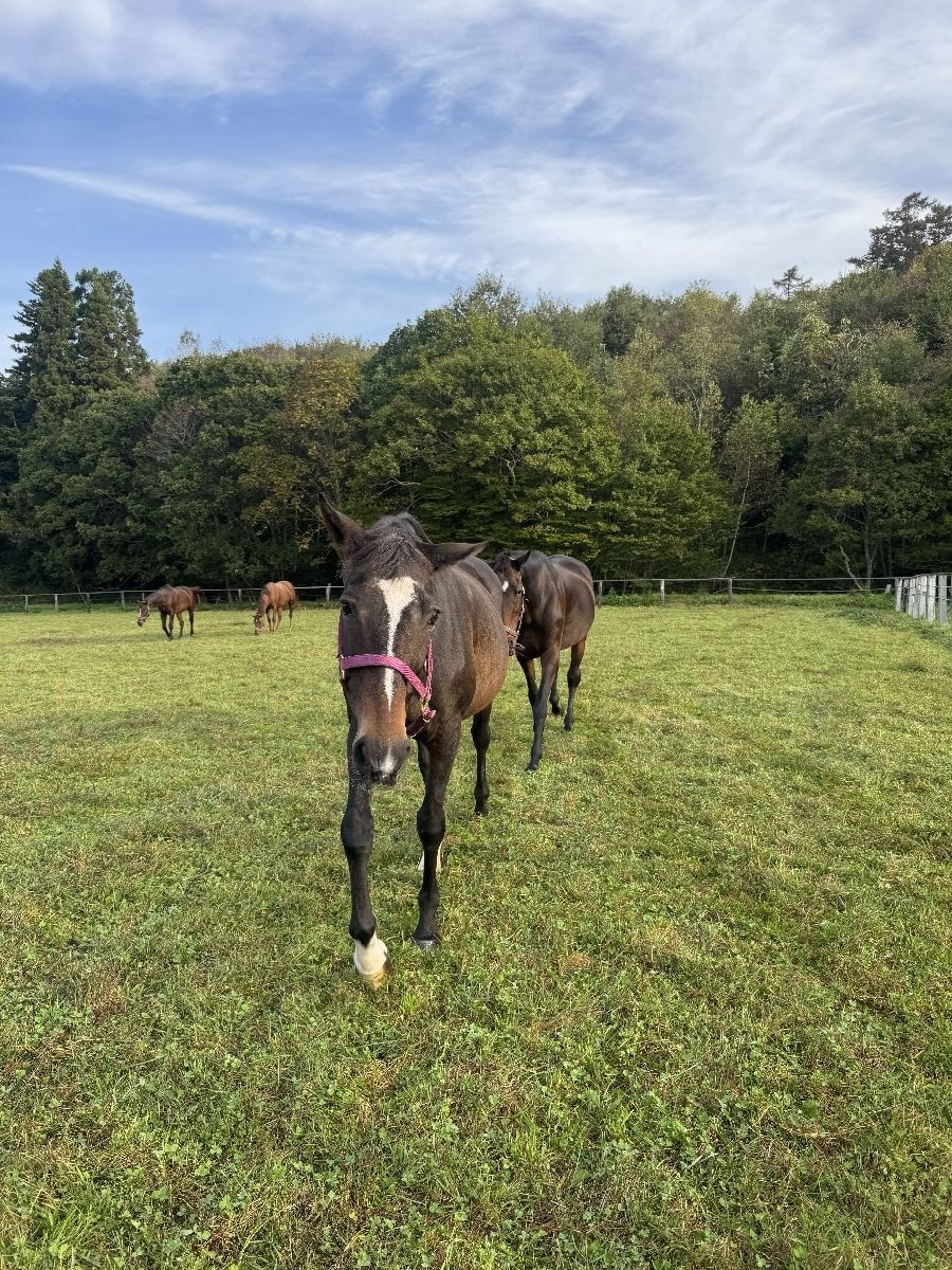 7ac4b70393d9ee2524119d2fdfa9cc2b-1762065580.jpg 7ac4b70393d9ee2524119d2fdfa9cc2b-1762065580.jpg