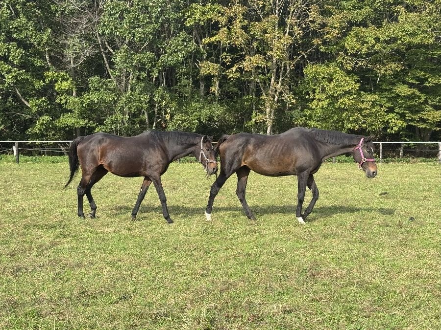 506dc1df4be1b433234d818c0af0d89c-1762066344.jpg 506dc1df4be1b433234d818c0af0d89c-1762066344.jpg