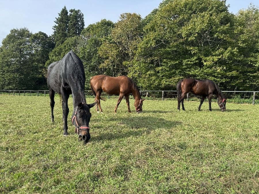 f192c167a9f0970e0ba622012b426c85-1762067007.jpg f192c167a9f0970e0ba622012b426c85-1762067007.jpg