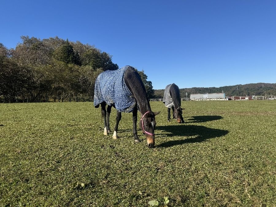 d39302f54febecdc5943cac9e9941c2d-1762065552.jpg d39302f54febecdc5943cac9e9941c2d-1762065552.jpg