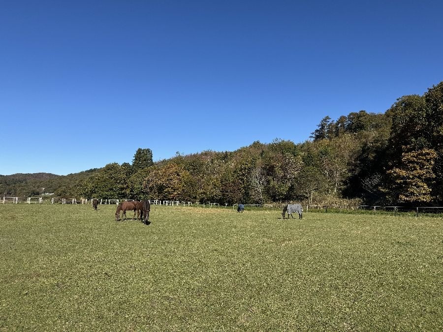 8d4583ac6cbbe4ef8a203f7c5724315a-1762063980.jpg 8d4583ac6cbbe4ef8a203f7c5724315a-1762063980.jpg