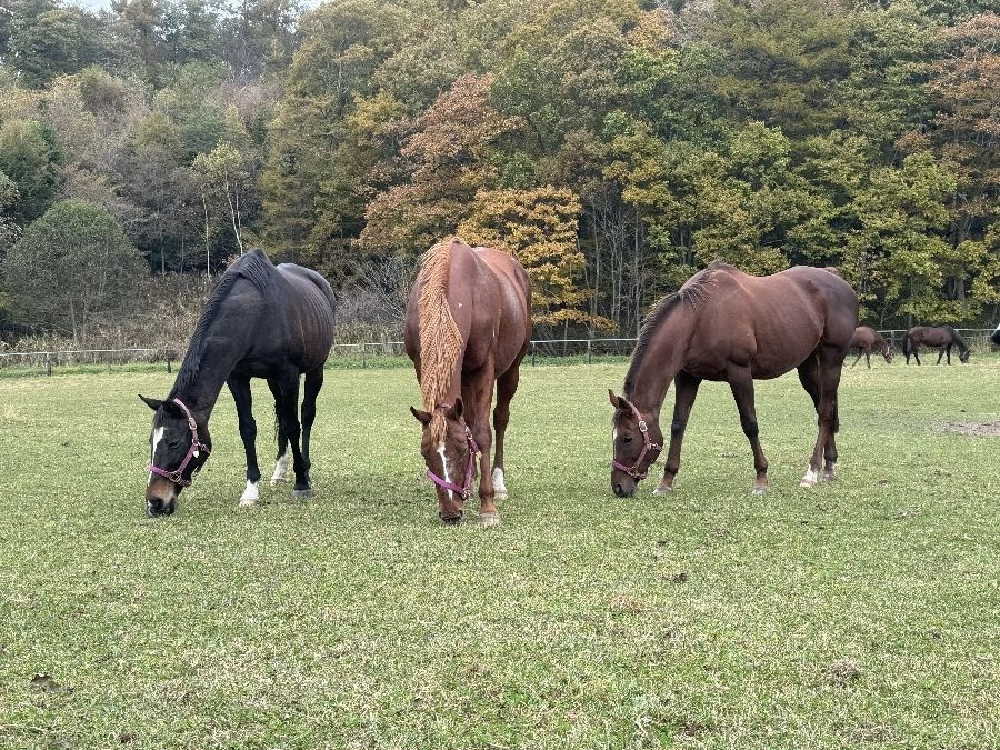 efe85e7a6ec36b851b3423613e6dbad6-1762065921.jpg efe85e7a6ec36b851b3423613e6dbad6-1762065921.jpg