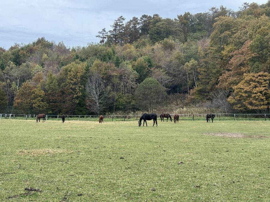 c844628f06989eb496df546740a402d3-1762063982.jpg c844628f06989eb496df546740a402d3-1762063982.jpg