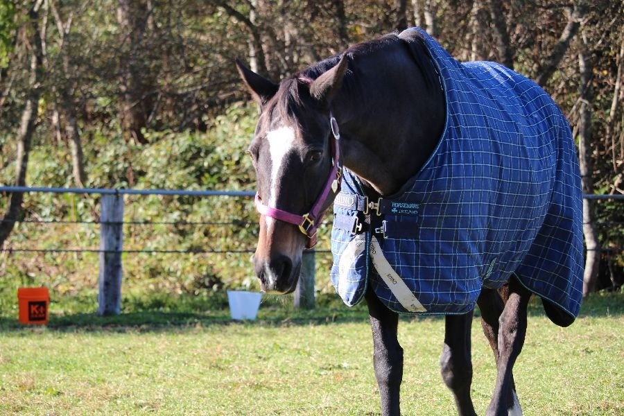 e4fb3c8d306f175c8c38f6dd68f6cfcc-1762065630.jpg e4fb3c8d306f175c8c38f6dd68f6cfcc-1762065630.jpg