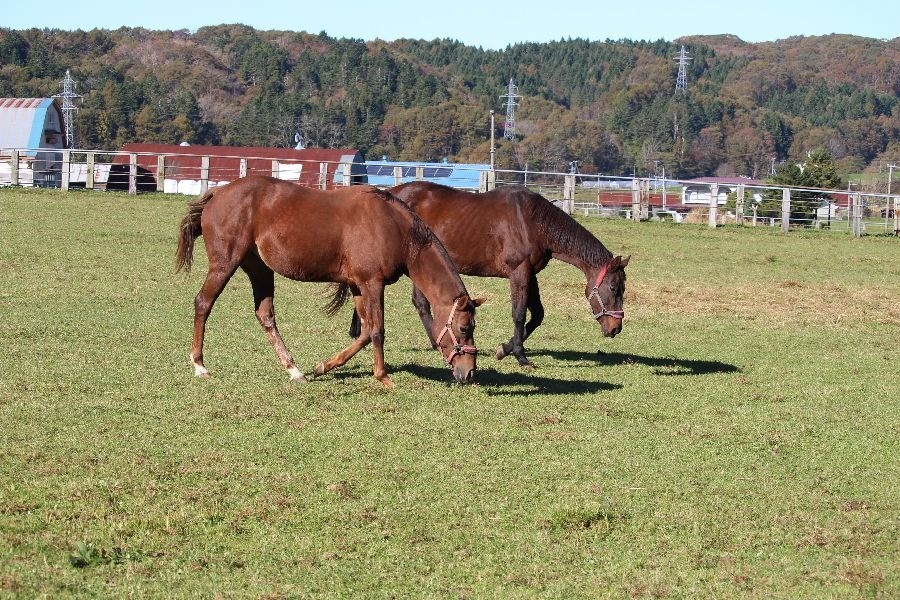 359e93803359ed3012e67513fdeac642-1762065189.jpg 359e93803359ed3012e67513fdeac642-1762065189.jpg