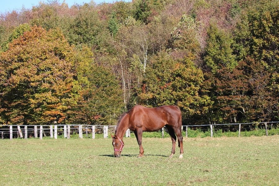 fca5649c5c7aa92719ffc5e82c70aff9-1762066212.jpg fca5649c5c7aa92719ffc5e82c70aff9-1762066212.jpg