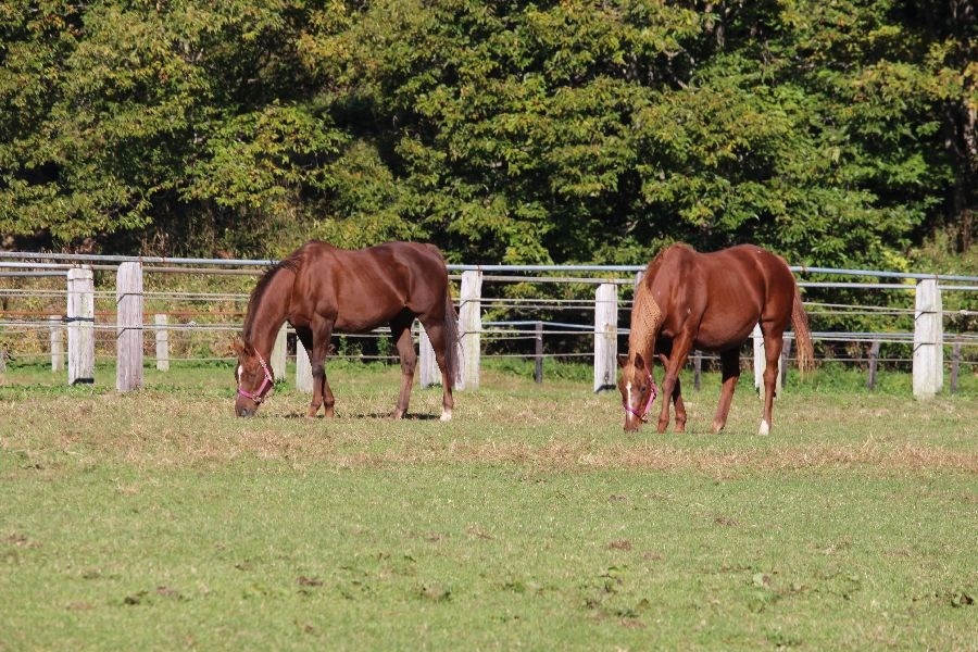 2f4d188e8f000228f35a018f8dab70a5-1762065928.jpg 2f4d188e8f000228f35a018f8dab70a5-1762065928.jpg