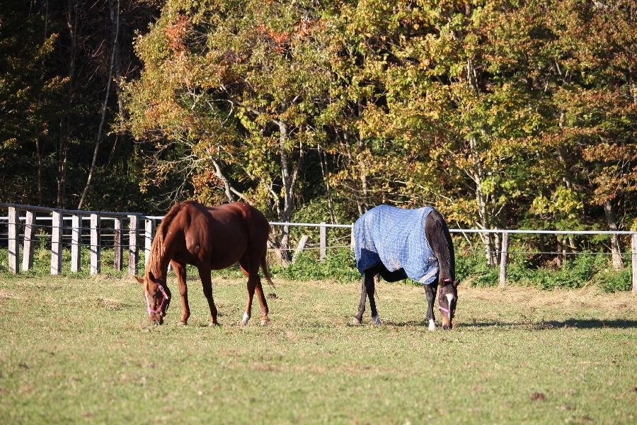 e91573248f58811faa4bba318f6d0ddf-1762065936.jpg e91573248f58811faa4bba318f6d0ddf-1762065936.jpg