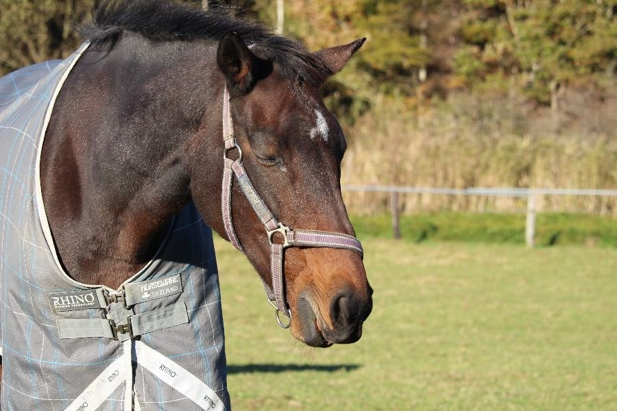 879fbf8a4f83cf7bfead0a2a7370246e-1762066416.jpg 879fbf8a4f83cf7bfead0a2a7370246e-1762066416.jpg