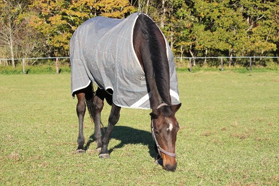 c021188d44ccc1402cdbe1c08b64cc90-1762066423.jpg c021188d44ccc1402cdbe1c08b64cc90-1762066423.jpg