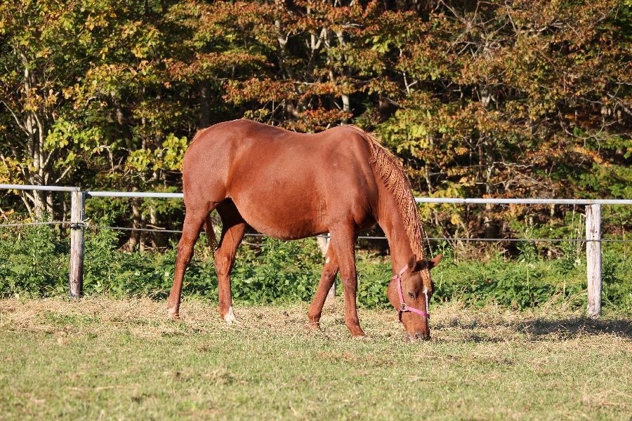 f25d05ac1aef22db2234dd5edbae6fc9-1762065949.jpg f25d05ac1aef22db2234dd5edbae6fc9-1762065949.jpg