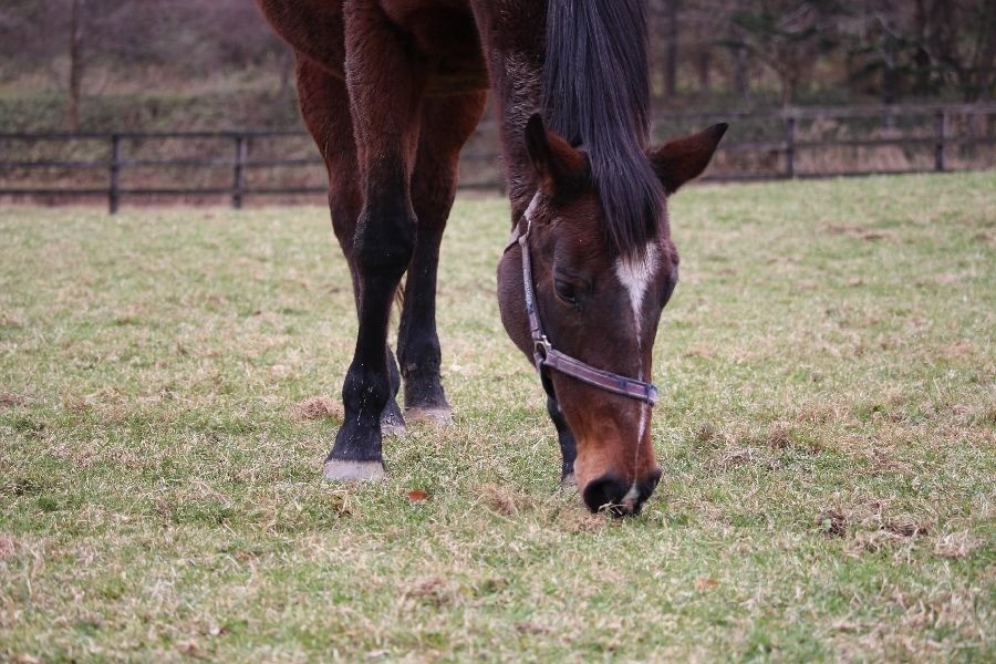 e37d167f29f67ed52132fb05be3cb7ed-1763467803.jpg e37d167f29f67ed52132fb05be3cb7ed-1763467803.jpg