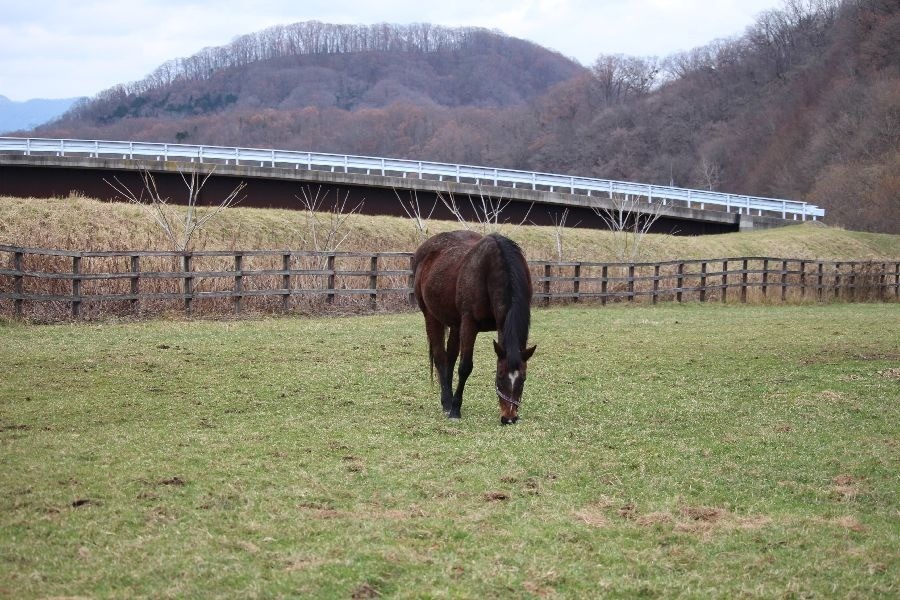 953b161851f02a97d55c2224fff39f0a-1763467821.jpg 953b161851f02a97d55c2224fff39f0a-1763467821.jpg