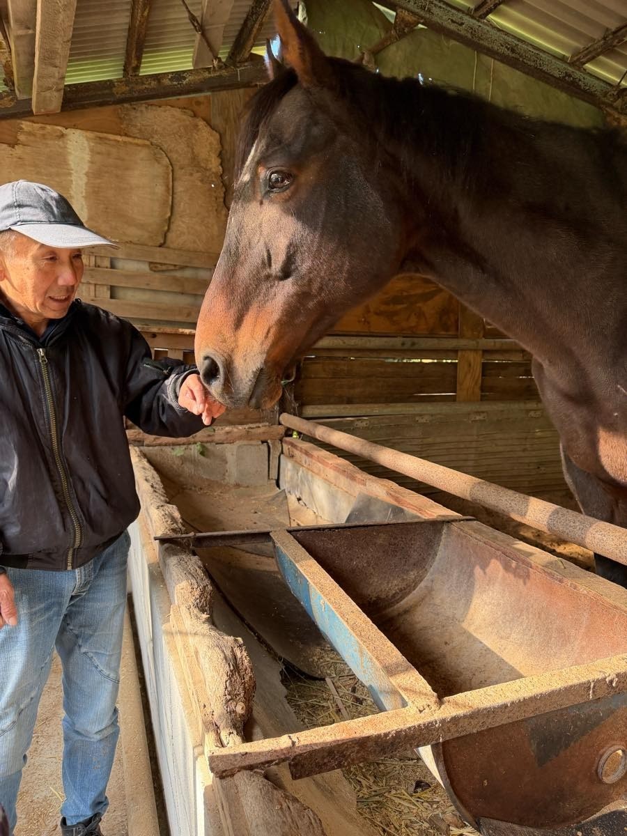 8fcb2f92d6aebe4c8b6a7b2a2e31d18e-1764415128.jpg 8fcb2f92d6aebe4c8b6a7b2a2e31d18e-1764415128.jpg