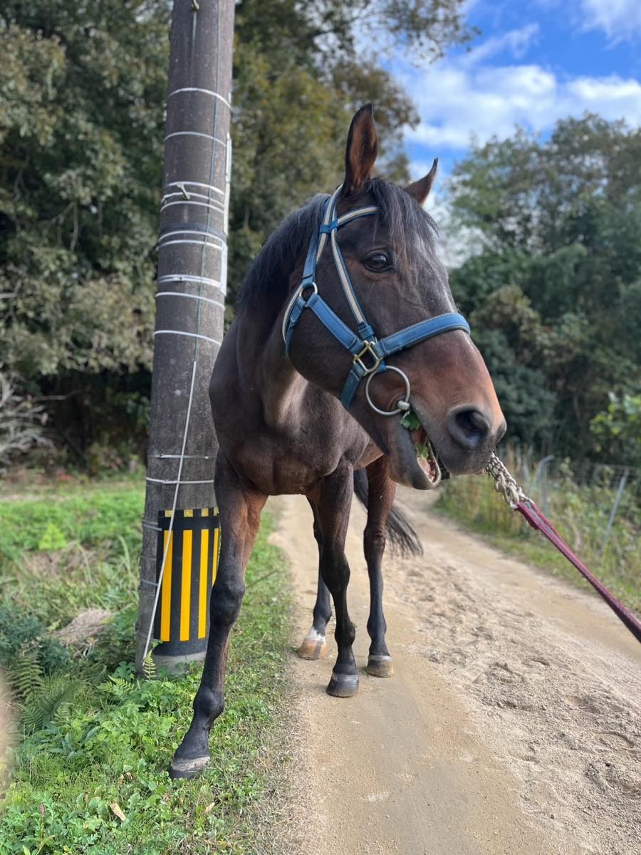 dd55a5150865bf40d534e030213b3508-1764412814.jpg dd55a5150865bf40d534e030213b3508-1764412814.jpg