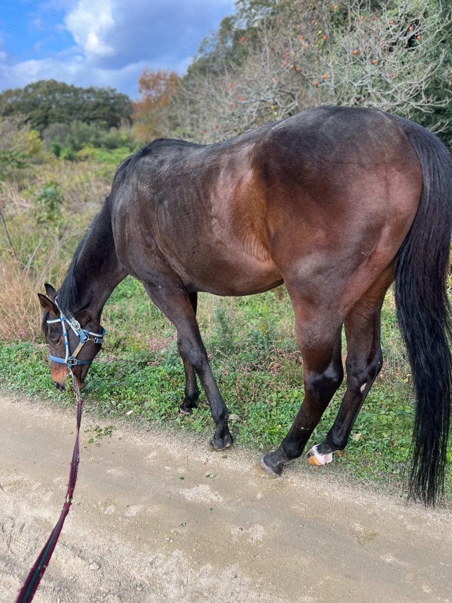 3f43c7f7a28a161dd0f32f4e3025206c-1764412882.jpg 3f43c7f7a28a161dd0f32f4e3025206c-1764412882.jpg