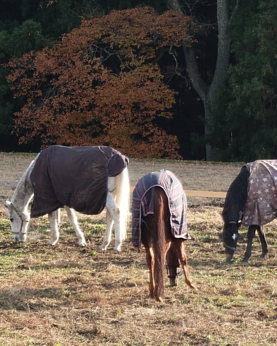 6db95fa1aef18d4102143ecd1cee0f2f-1765766875.jpg 6db95fa1aef18d4102143ecd1cee0f2f-1765766875.jpg